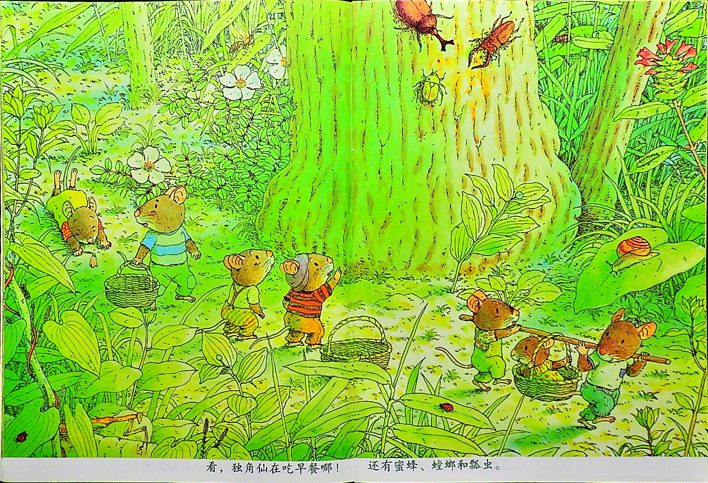 14只老鼠吃早餐 (09),绘本,绘本故事,绘本阅读,故事书,童书,图画书,课外阅读